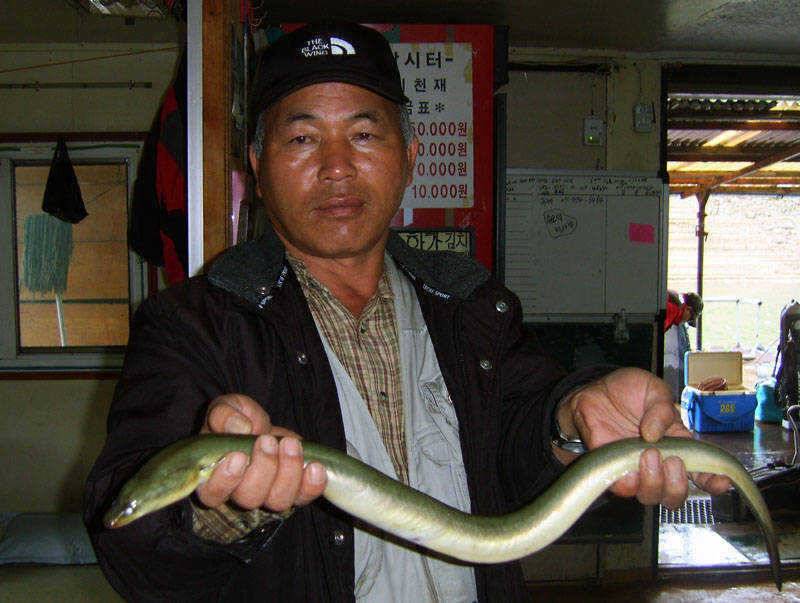 오름수위의 충주호 주말 조황소식입니다 (조황조행기 - 특파원조황)
