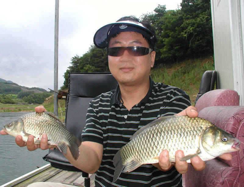 충주호 4자 대물 행진은 이어지고 하천 명서낚시터 소식 (조황조행기 - 특파원조황)