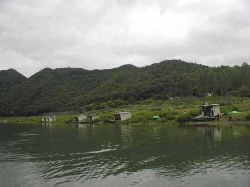 충주호 4자 대물 행진은 이어지고 하천 명서낚시터 소식 (조황조행기 - 특파원조황)