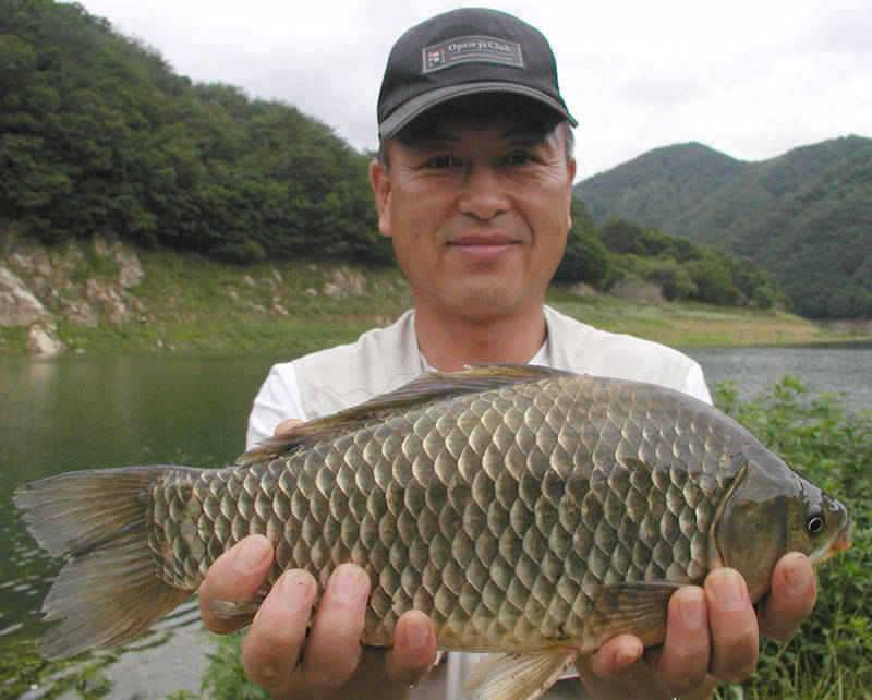 충주호 4자 대물 행진은 이어지고 하천 명서낚시터 소식 (조황조행기 - 특파원조황)