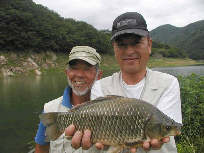 충주호 4자 대물 행진은 이어지고 하천 명서낚시터 소식 (조황조행기 - 특파원조황)