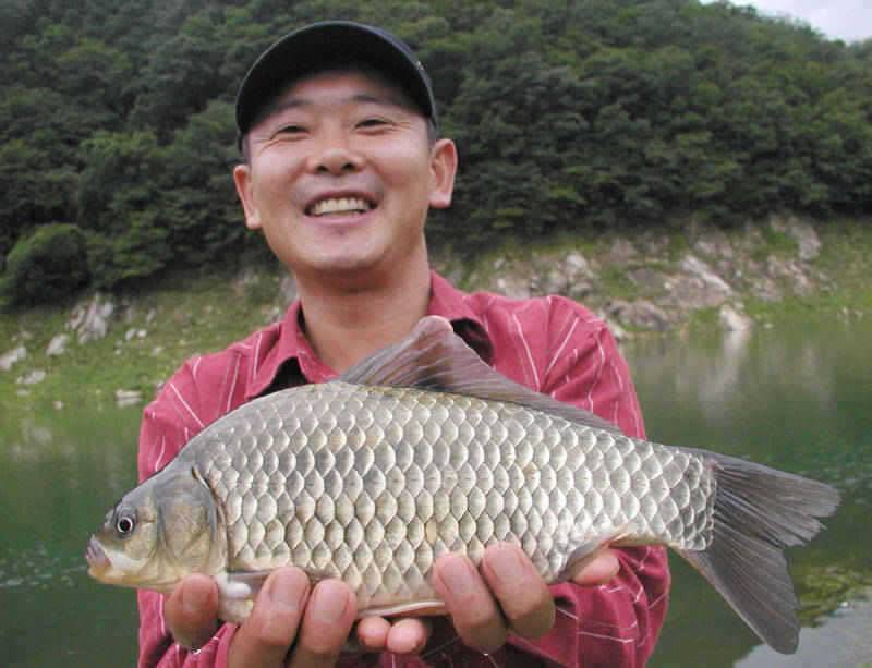 충주호 4자 대물 행진은 이어지고 하천 명서낚시터 소식 (조황조행기 - 특파원조황)