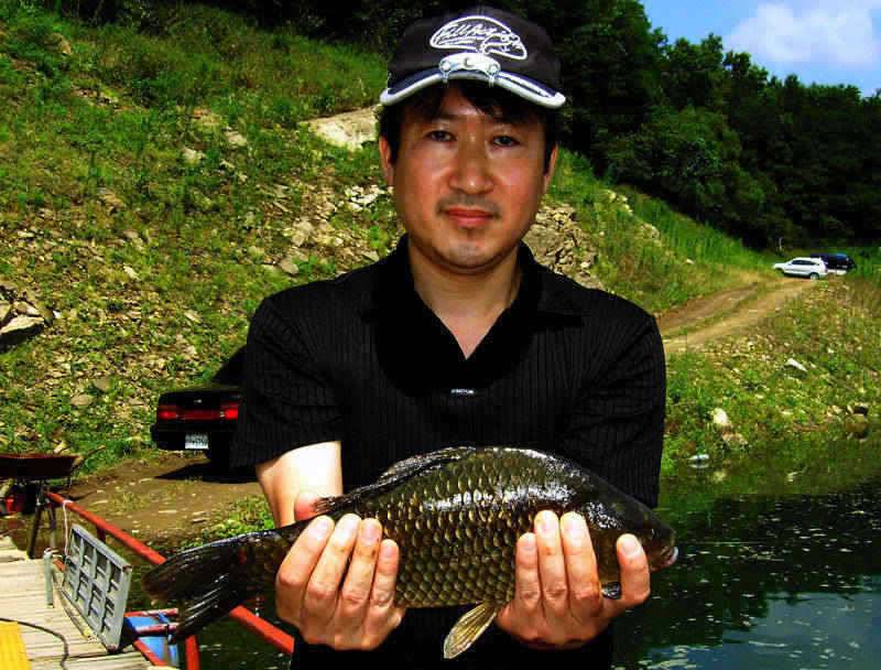 충주호 빗속에 올려진 39cm 대물붕어의 모습 (조황조행기 - 특파원조황)