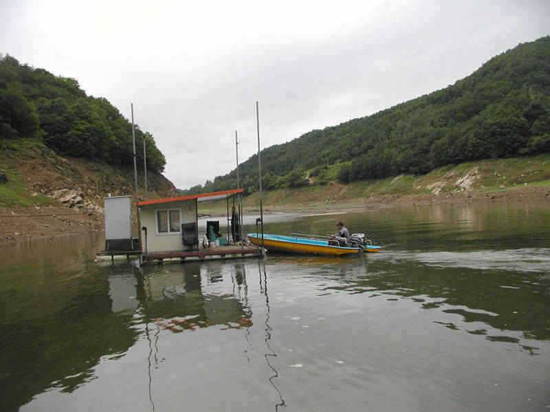 충주호 마릿수 조황으로 이어지고잇는 하천낚시터 (조황조행기 - 특파원조황)