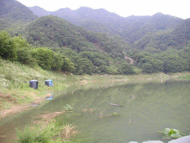 2122일 충주호 조황소식 및 5자쏘가리의 모습 (조황조행기 - 특파원조황)