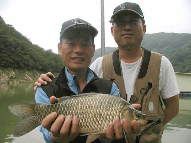 2122일 충주호 조황소식 및 5자쏘가리의 모습 (조황조행기 - 특파원조황)