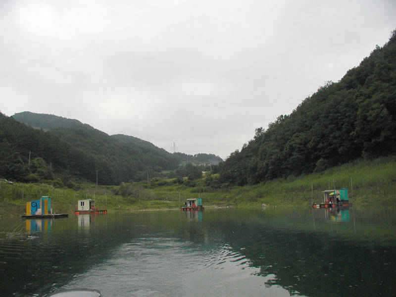 2122일 충주호 조황소식 및 5자쏘가리의 모습 (조황조행기 - 특파원조황)