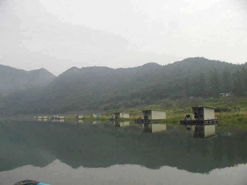 충주호 명서낚시터 여조사님의 월척붕어 (조황조행기 - 특파원조황)