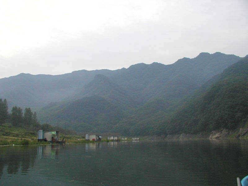 충주호 명서낚시터 여조사님의 월척붕어 (조황조행기 - 특파원조황)