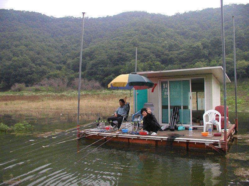 충주호 명서낚시터 여조사님의 월척붕어 (조황조행기 - 특파원조황)