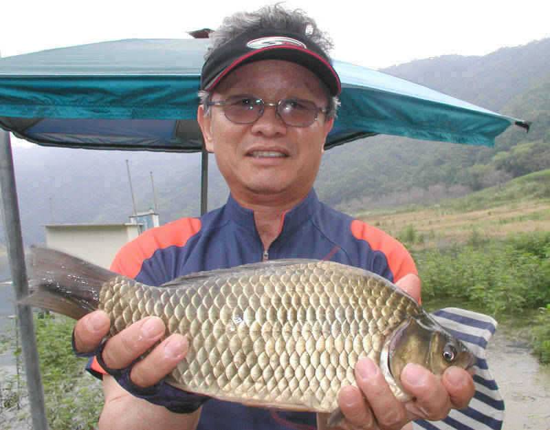 충주호 명서낚시터 여조사님의 월척붕어 (조황조행기 - 특파원조황)