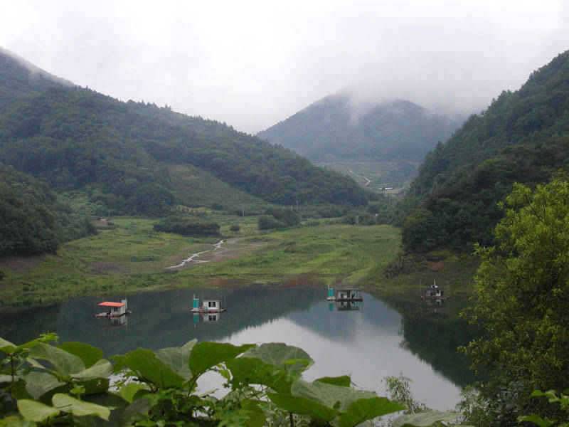 충주호 막바지 장맛비 4자 대물붕어 소식은 이어지고 (조황조행기 - 특파원조황)