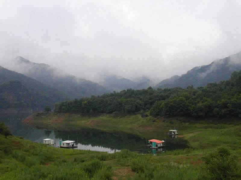 충주호 막바지 장맛비 4자 대물붕어 소식은 이어지고 (조황조행기 - 특파원조황)