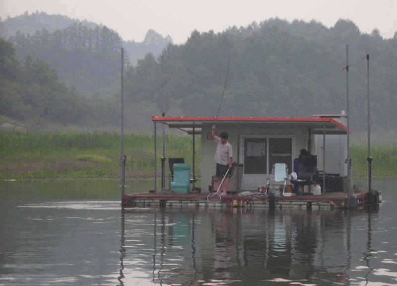 충주호 막바지 장맛비 4자 대물붕어 소식은 이어지고 (조황조행기 - 특파원조황)