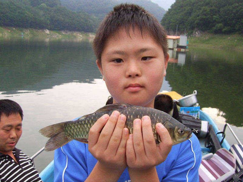 충주호 막바지 장맛비 4자 대물붕어 소식은 이어지고 (조황조행기 - 특파원조황)