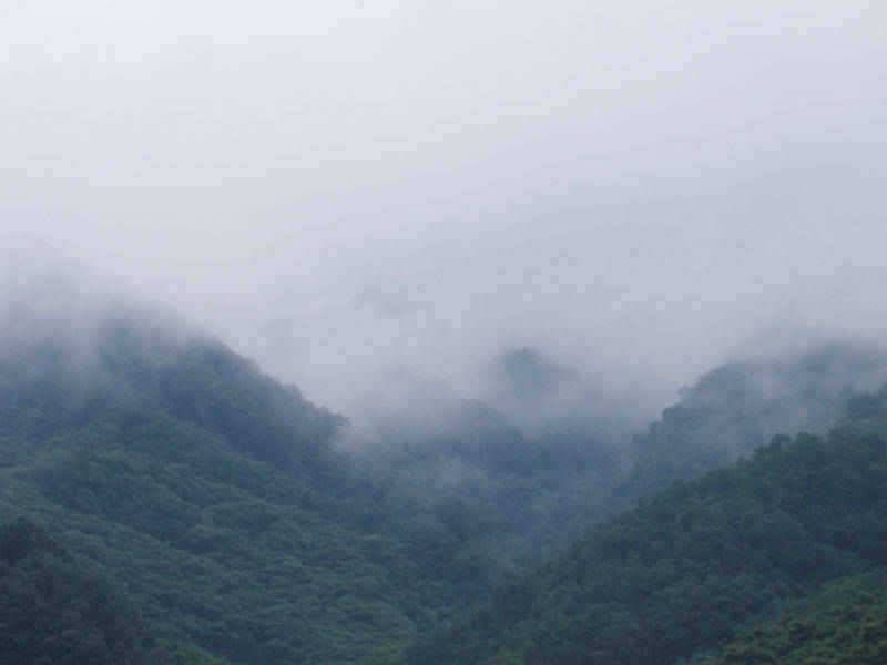 충주호 막바지 장맛비 4자 대물붕어 소식은 이어지고 (조황조행기 - 특파원조황)