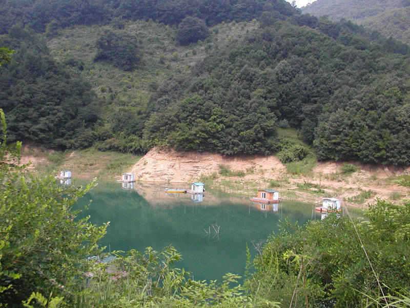 본격적인 삼복더위 낮낚시에 붕어입질 (조황조행기 - 특파원조황)