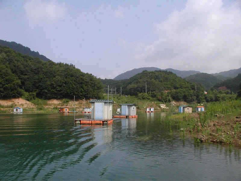 본격적인 삼복더위 낮낚시에 붕어입질 (조황조행기 - 특파원조황)