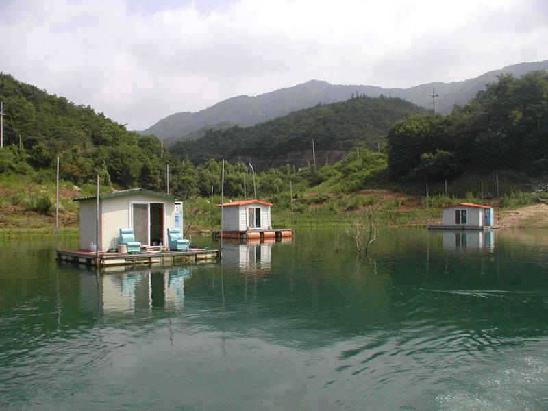 본격적인 삼복더위 낮낚시에 붕어입질 (조황조행기 - 특파원조황)