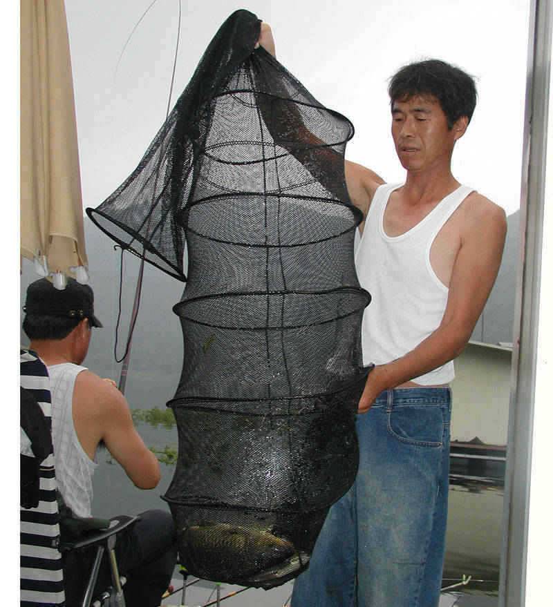 제천천의 피서지와 명서낚시터의 38cm 대물붕어의 모습 (조황조행기 - 특파원조황)