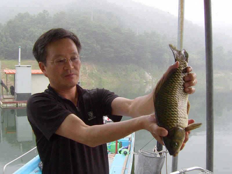 충주호 조황편차속에 대물 붕어를 (조황조행기 - 특파원조황)