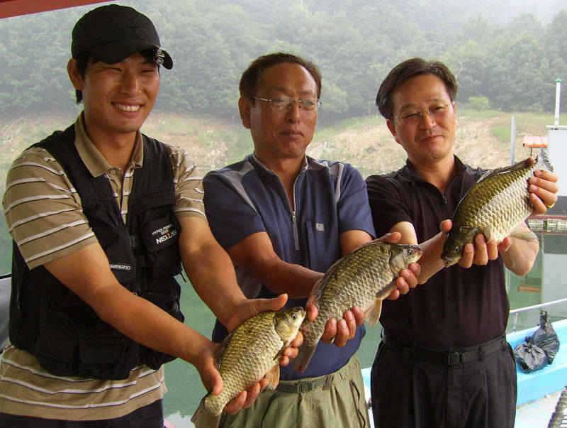 충주호 조황편차속에 대물 붕어를 (조황조행기 - 특파원조황)