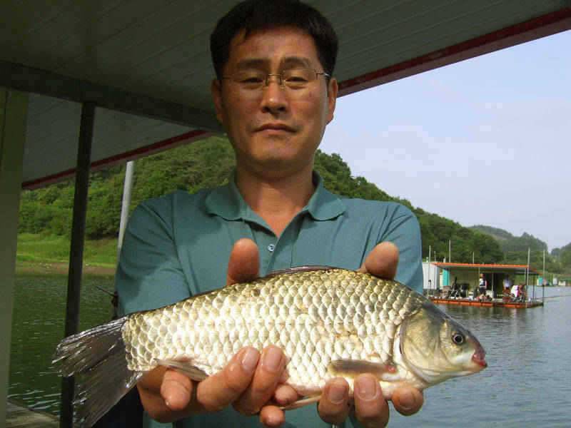 충주호 명서 하천낚시터 조황 소식입니다 (조황조행기 - 특파원조황)