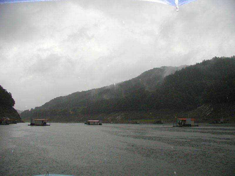 충주호 오전에 장대비 오름수위 호조황 예상 (조황조행기 - 특파원조황)