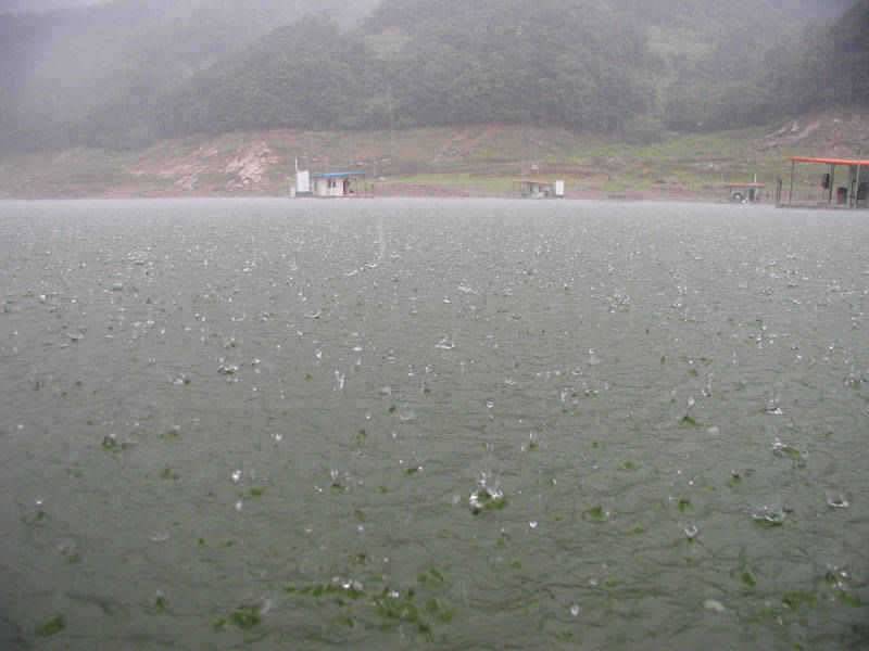 충주호 오전에 장대비 오름수위 호조황 예상 (조황조행기 - 특파원조황)