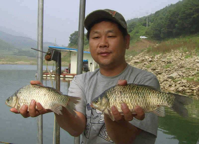 충주호 이번주말 육초잠기며 좋은 조황 예상 (조황조행기 - 특파원조황)