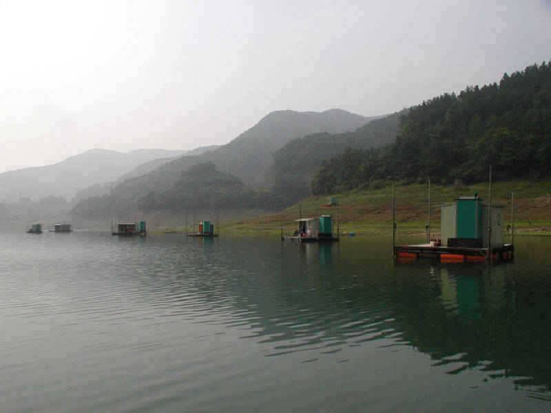 충주호 이번주말 육초잠기며 좋은 조황 예상 (조황조행기 - 특파원조황)