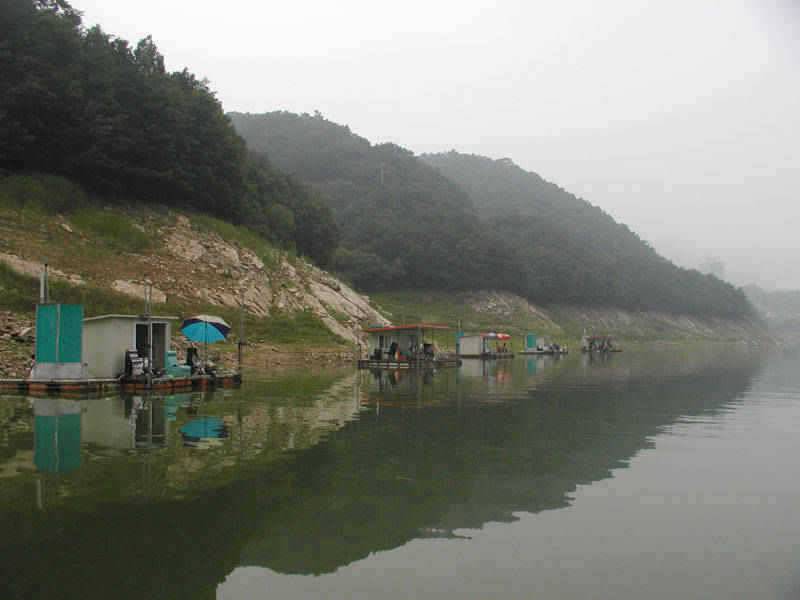 충주호 월척붕어에 5짜쏘가리 장어소식입니다 (조황조행기 - 특파원조황)