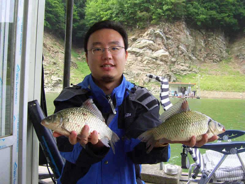 충주호 15kg의 대물장어와 붕어조황 소식입니다 (조황조행기 - 특파원조황)
