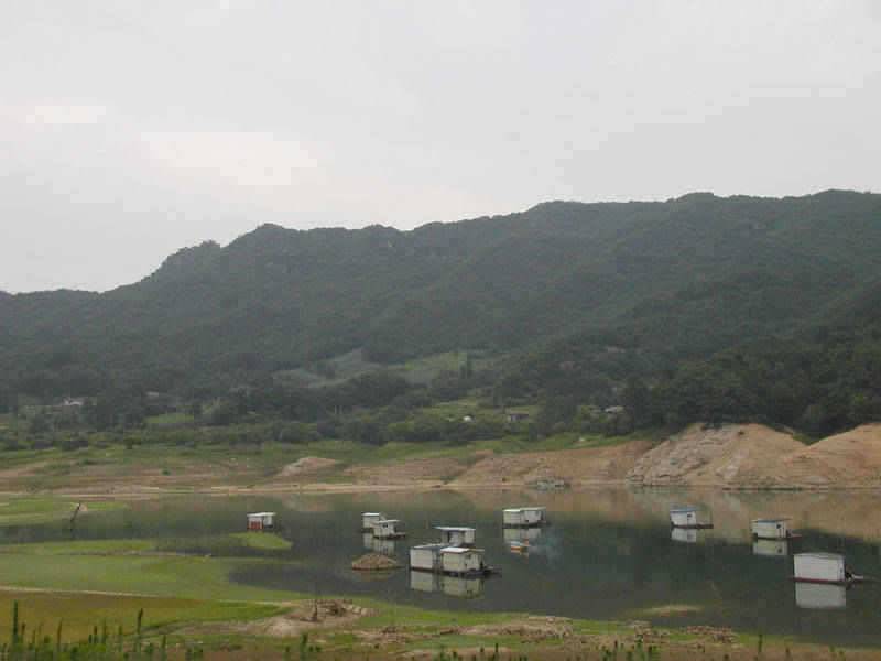 충주호 15kg의 대물장어와 붕어조황 소식입니다 (조황조행기 - 특파원조황)