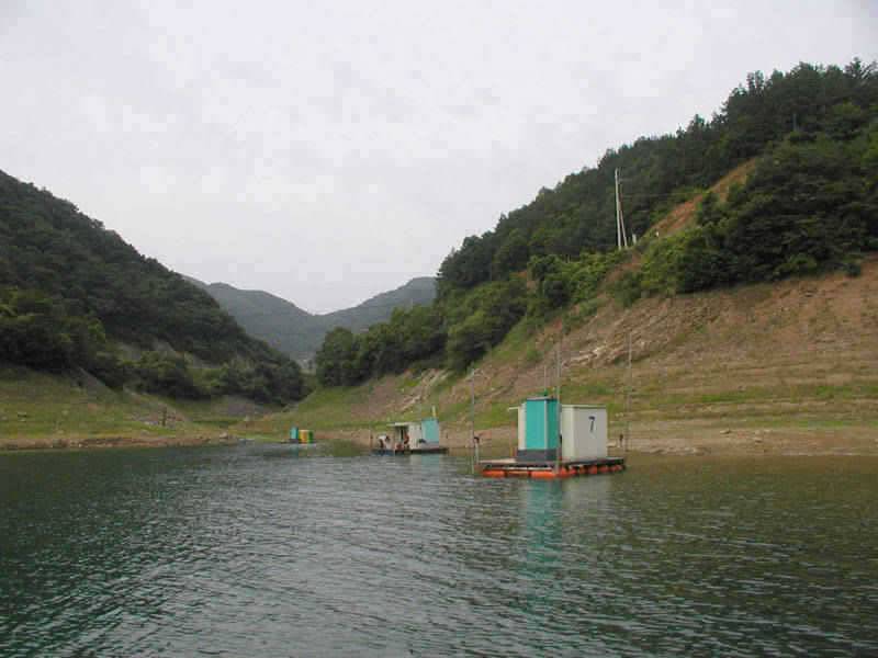충주호 15kg의 대물장어와 붕어조황 소식입니다 (조황조행기 - 특파원조황)