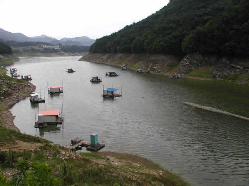 충주호 15kg의 대물장어와 붕어조황 소식입니다 (조황조행기 - 특파원조황)