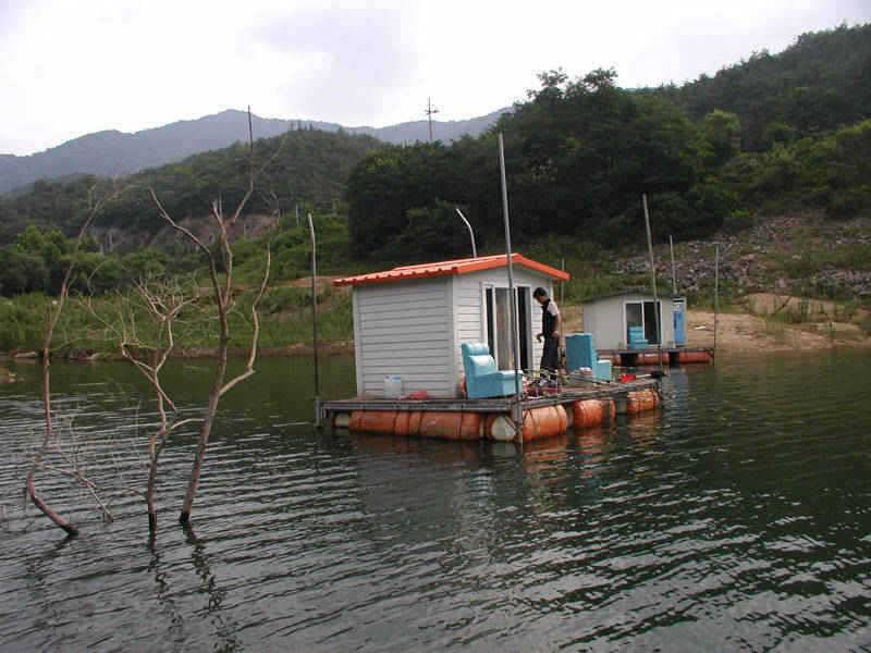충주호 하류권에서도 대물 붕어 소식이 (조황조행기 - 특파원조황)