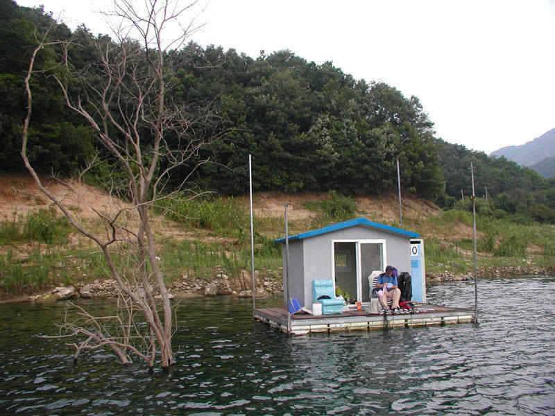 충주호 하류권에서도 대물 붕어 소식이 (조황조행기 - 특파원조황)