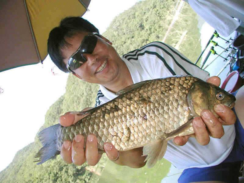 충주호 36cm 42cm붕어 모습과 주말조황 소식입니다 (조황조행기 - 특파원조황)