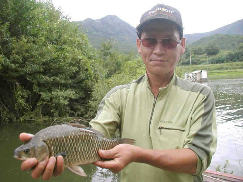충주호 36cm 42cm붕어 모습과 주말조황 소식입니다 (조황조행기 - 특파원조황)