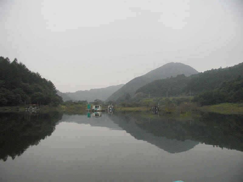 충주호 41cm대물붕어 다시 꿈틀대는 장어소식입니다 (조황조행기 - 특파원조황)