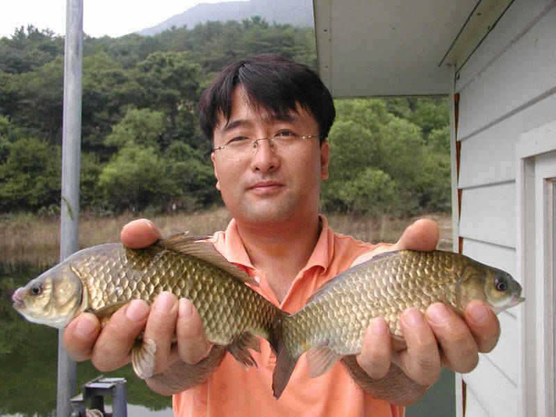 충주호 41cm대물붕어 다시 꿈틀대는 장어소식입니다 (조황조행기 - 특파원조황)