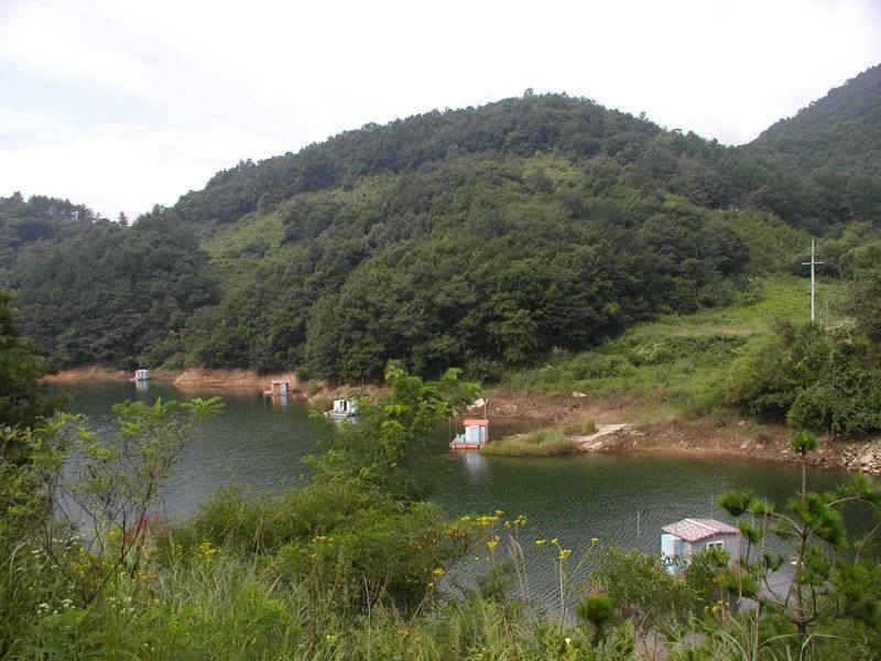 충주호 대물붕어 대물장어의 모습입니다 (조황조행기 - 특파원조황)
