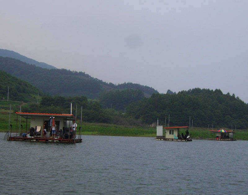 충주호 명서 하천 솔낚시터 조황 소식입니다 (조황조행기 - 특파원조황)