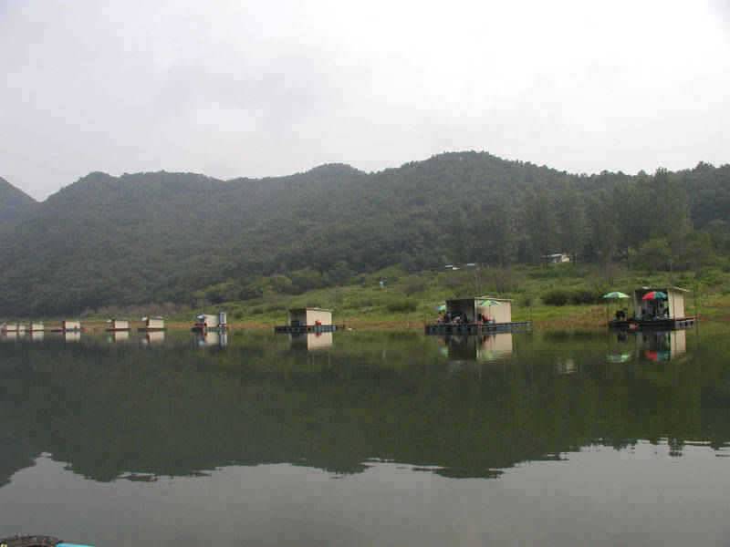 충주호 명서 하천 솔낚시터 조황 소식입니다 (조황조행기 - 특파원조황)