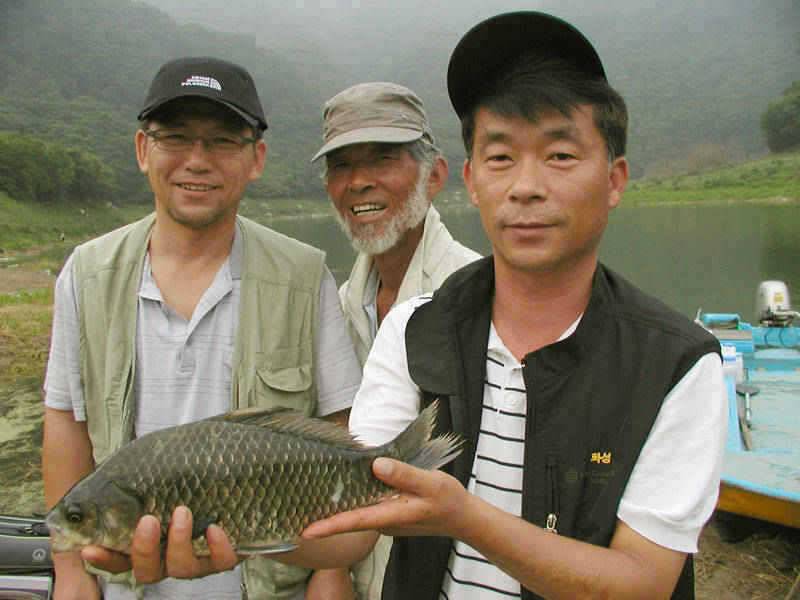 충주호 명서 하천 솔낚시터 조황 소식입니다 (조황조행기 - 특파원조황)