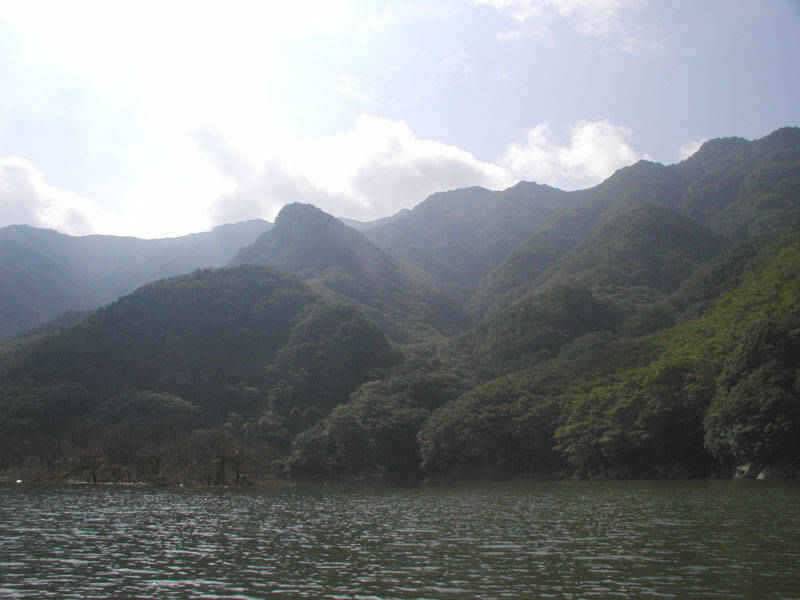 충주호 하천 명서낚시터 소식입니다 (조황조행기 - 특파원조황)