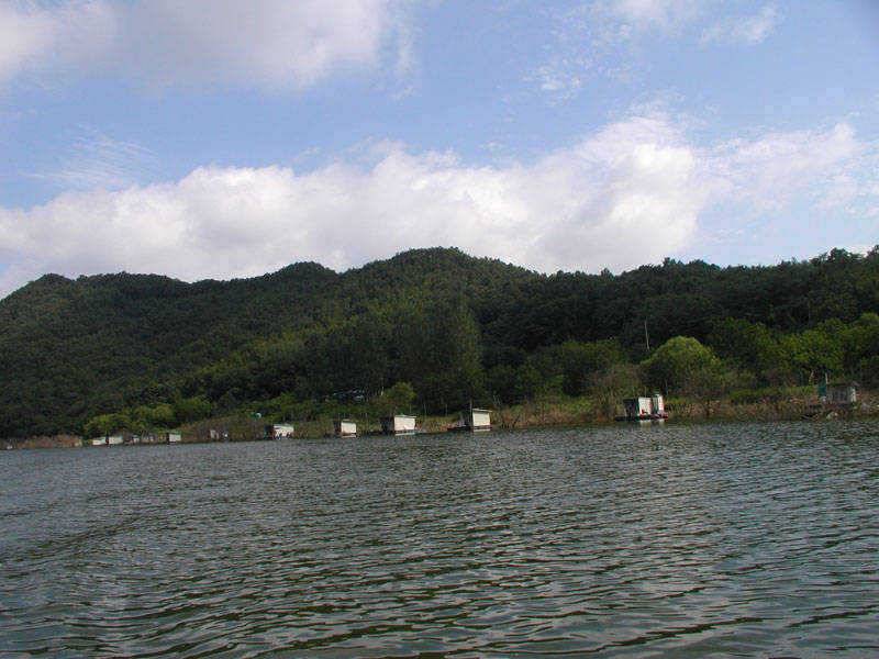 충주호 하천 명서낚시터 소식입니다 (조황조행기 - 특파원조황)