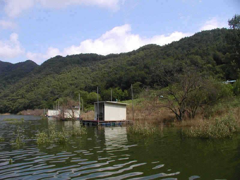 충주호 하천 명서낚시터 소식입니다 (조황조행기 - 특파원조황)