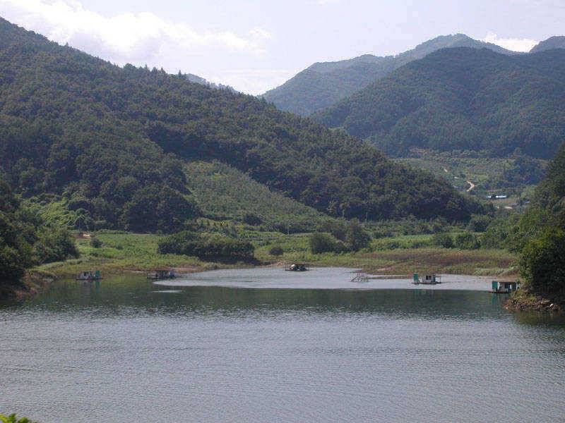충주호 하천 명서낚시터 소식입니다 (조황조행기 - 특파원조황)